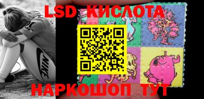 дмт Славгород