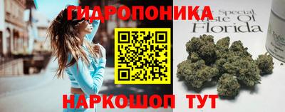 гашиш Сланцы