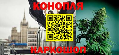 дмт Славгород