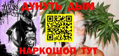 дмт Славгород