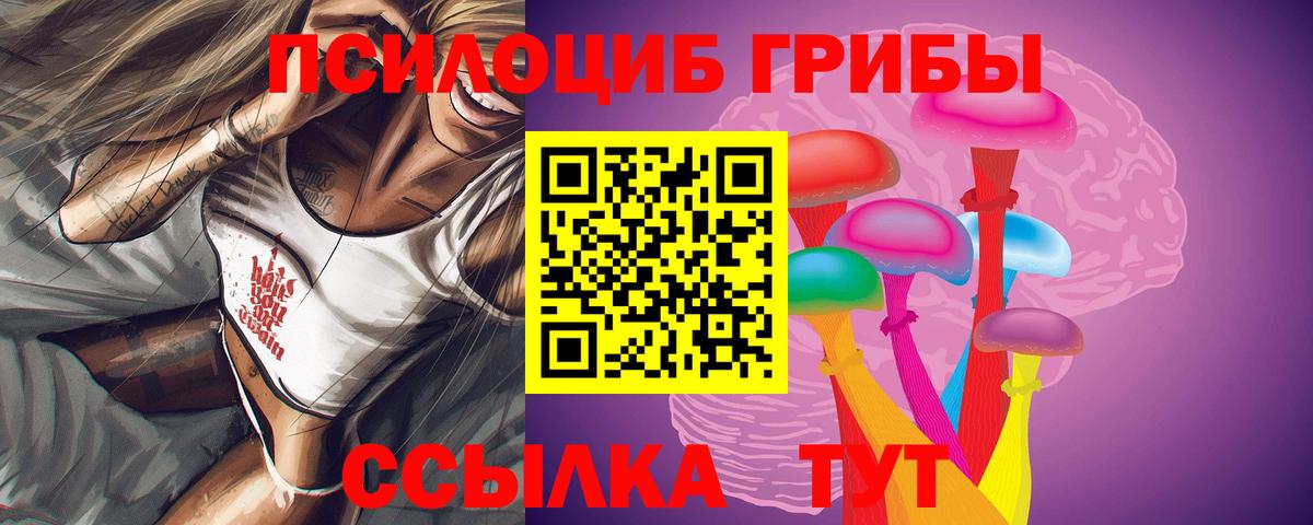 Псилоцибиновые грибы Psilocybe Самара